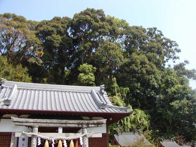 芳養八幡神社