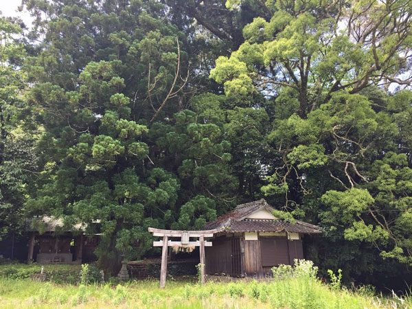 熊野那智大社